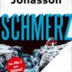 Roman: Schmerz von Jón Atli Jónasson im Verlag Fischer Scherz