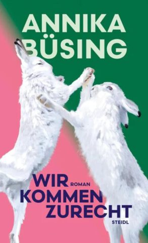 Roman: Wir kommen zurecht von Annika Büsing im Steidl Verlag